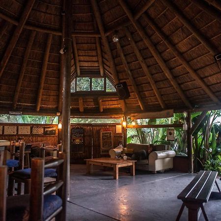 Fairy Knowe Backpackers Lodge Вілдернесс Екстер'єр фото