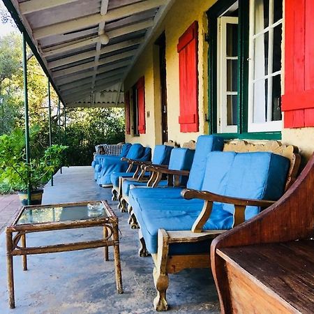 Fairy Knowe Backpackers Lodge Вілдернесс Екстер'єр фото