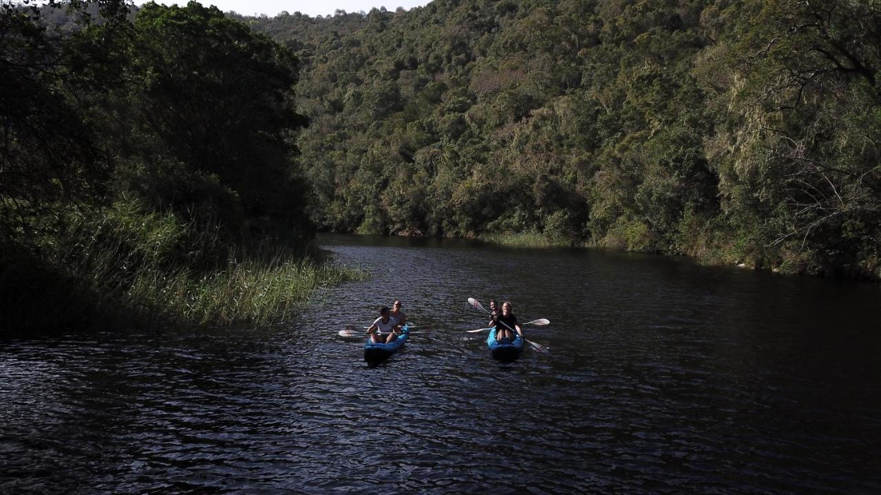Fairy Knowe Backpackers Lodge Вілдернесс Екстер'єр фото