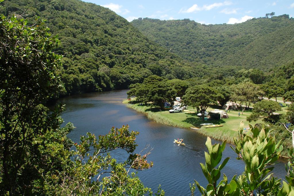 Fairy Knowe Backpackers Lodge Вілдернесс Екстер'єр фото